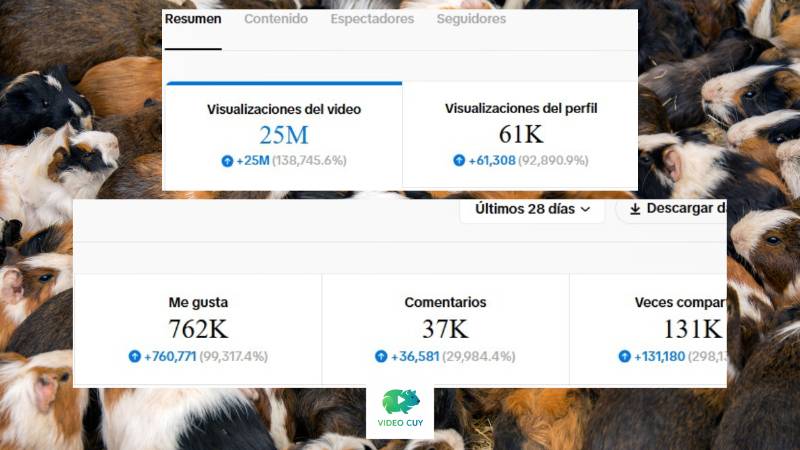 Resultado 2